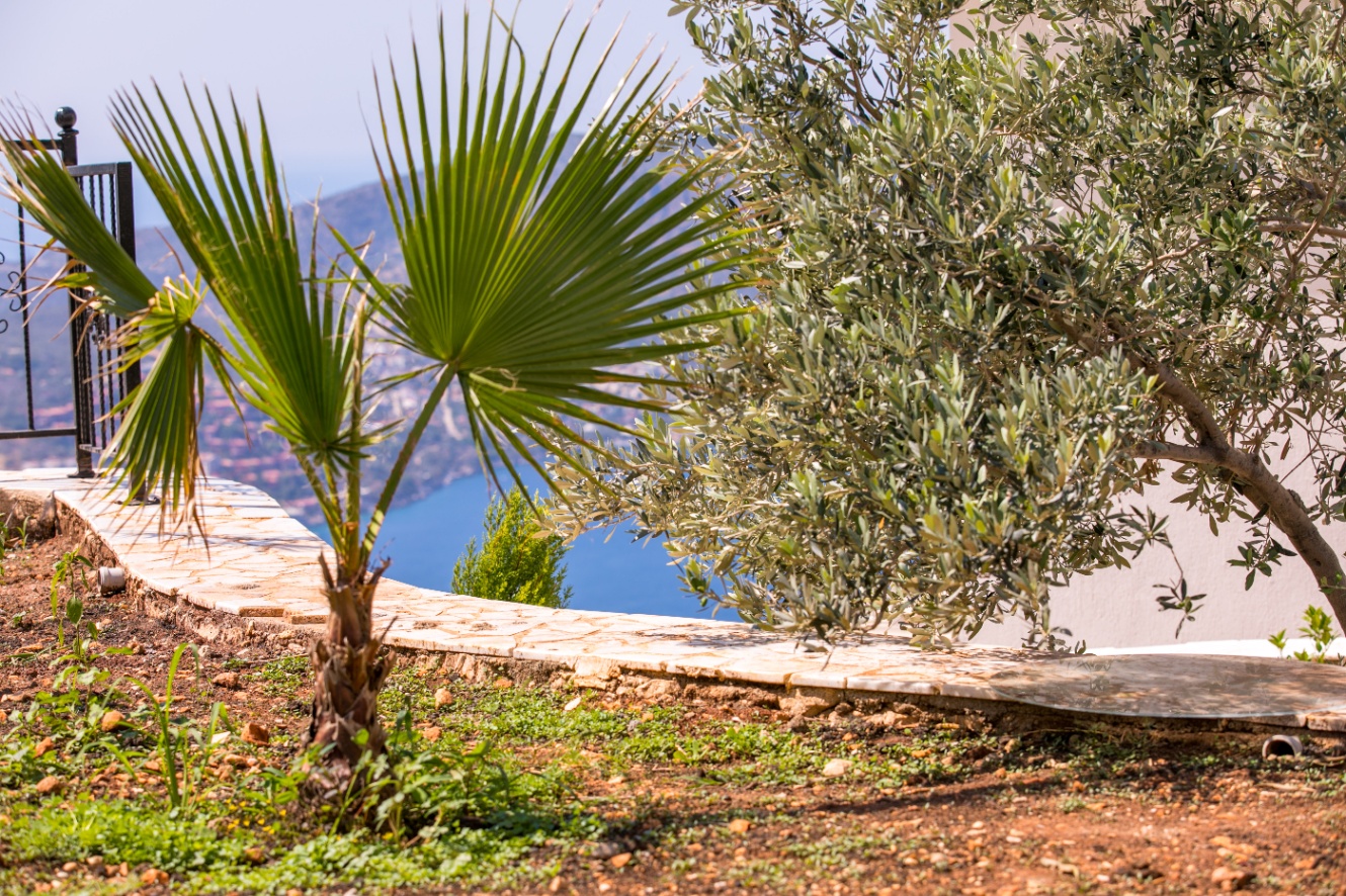 Villa Antik Hill 5